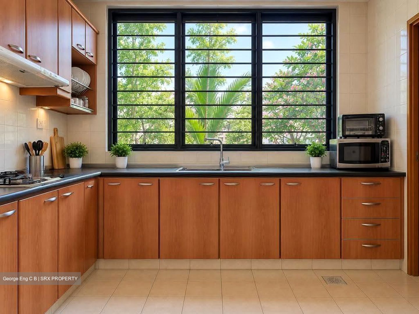 Nature Mansions (D15), Apartment #616529401